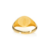 Star Shine Siegelring Gold Modeschmuck